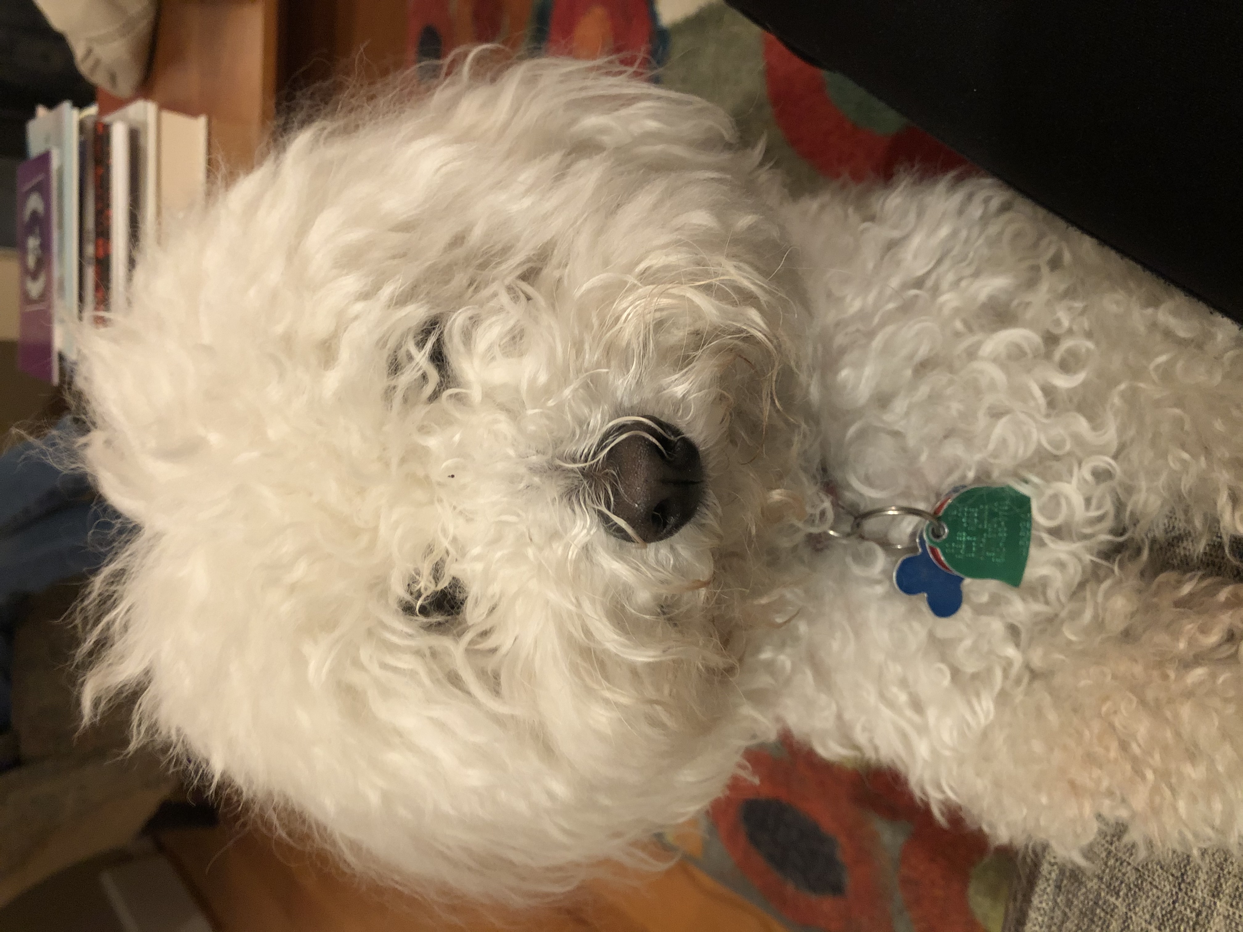 Flurry
