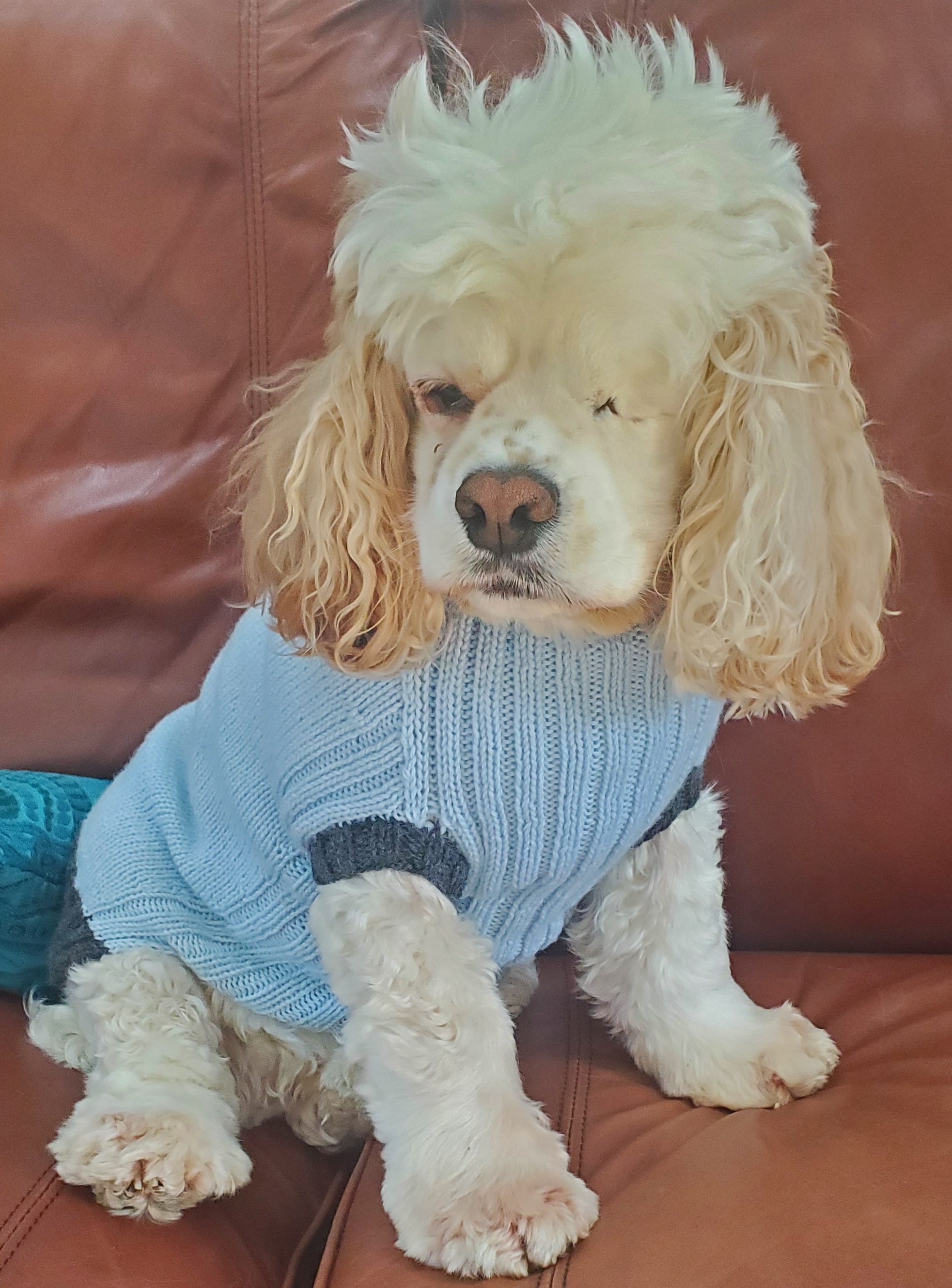 Molly