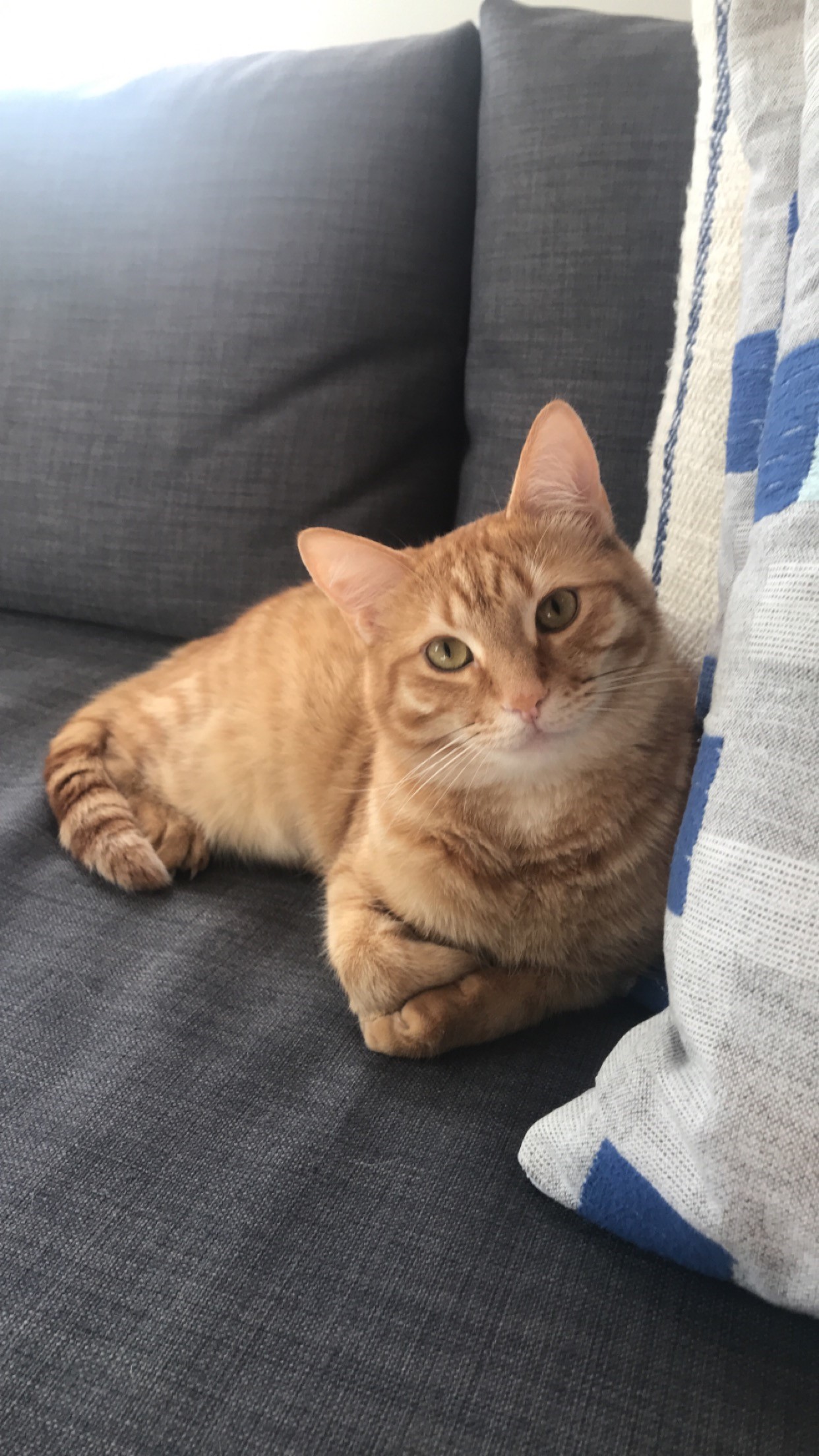 Monty