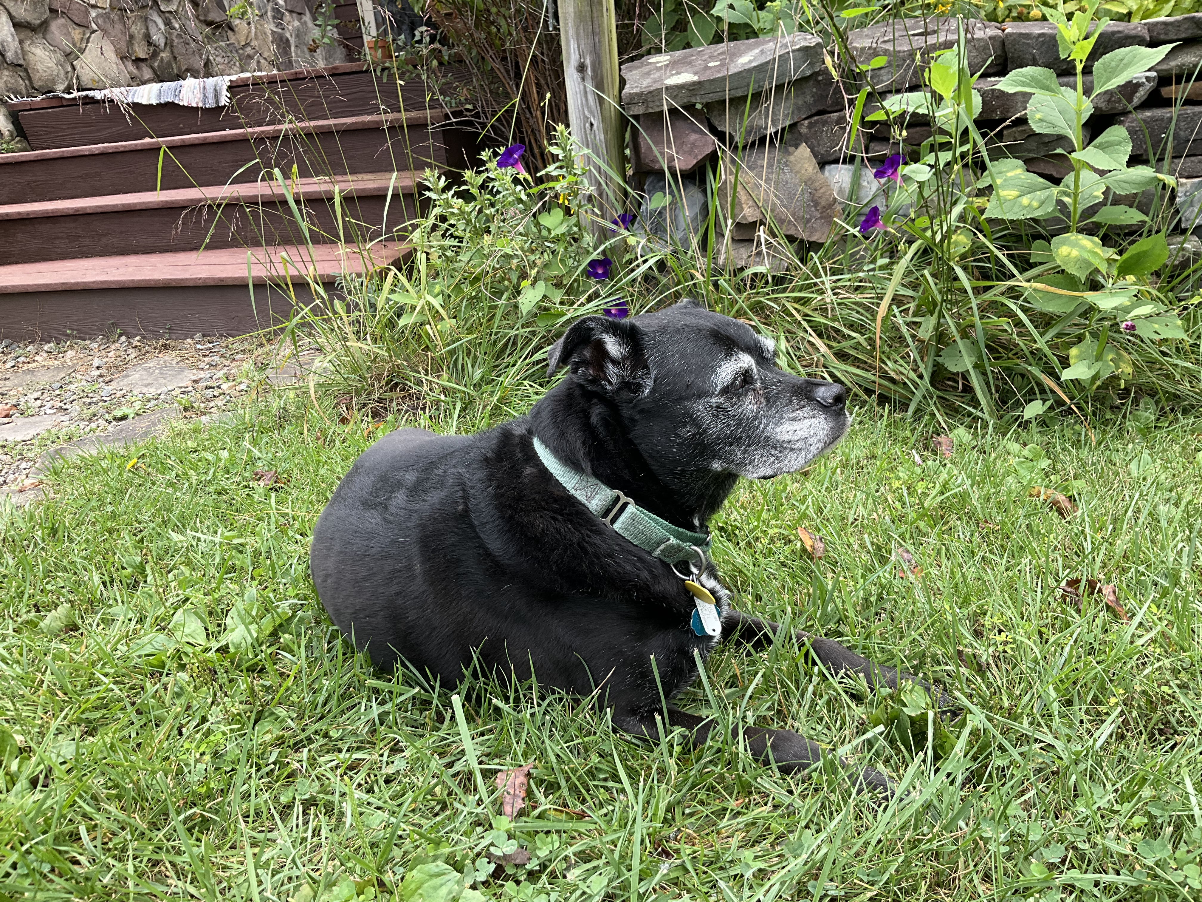 Fiona