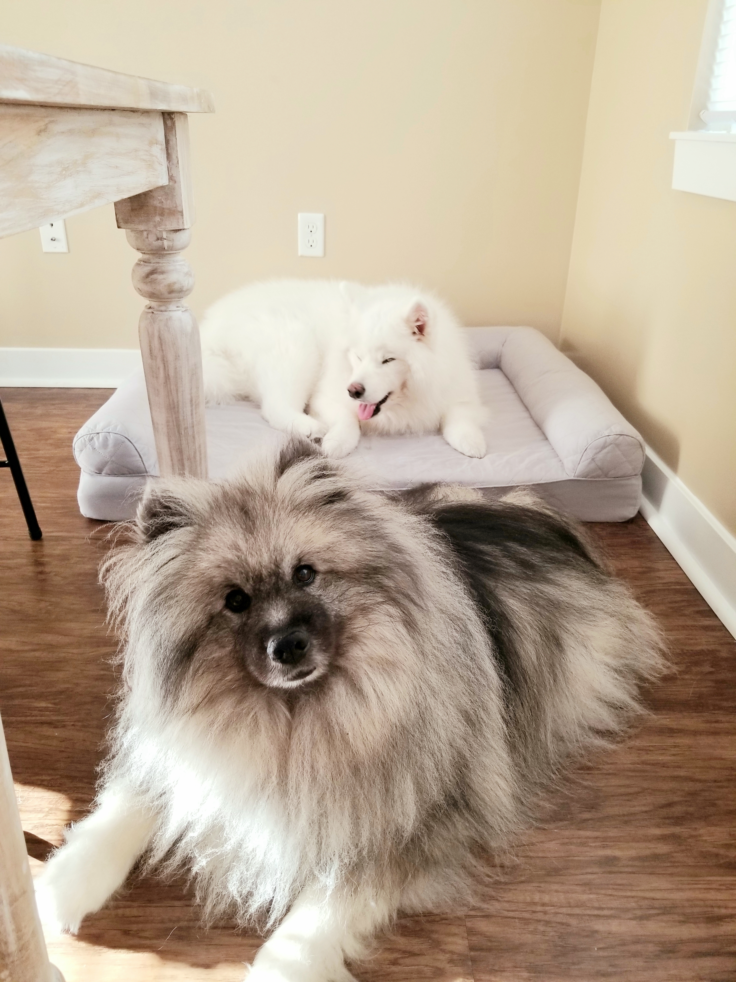 Isabella and Obi