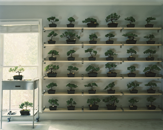 'Untitled (sublimation),' 2006, 48 x 60 inches inches, chromogenic print