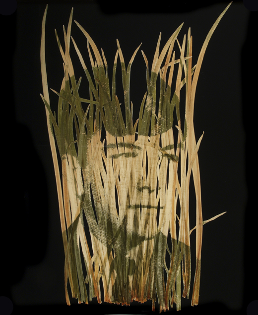 William W. Smith 21, 2008, Chlorophyll print on grass and resin, 17 x 14 in.