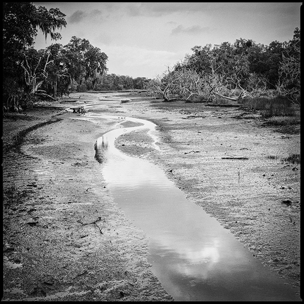 Christa Bowden; White Branch Tidal Creek, Wilderness Area, Low Tide; 2016