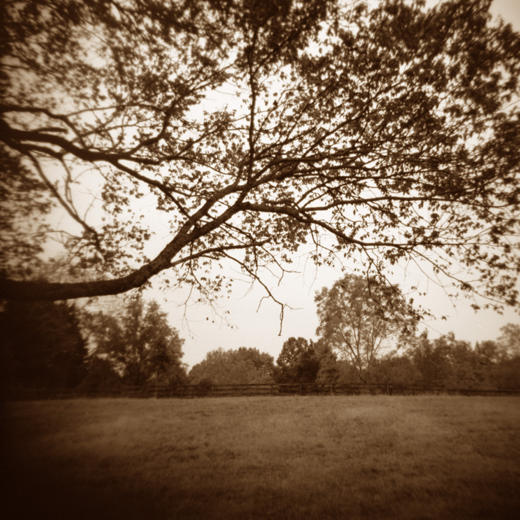 Rob McDonald, 'Meadow, Jerdone Castle,' (From 'Native Ground'), 2010, Epson Ultrachrome Print, 10 x 10 in