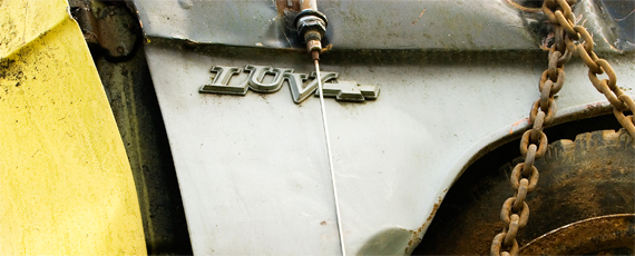 Summer of Luv (detail), 2010, archival ink jet print, 16 x 24 in.