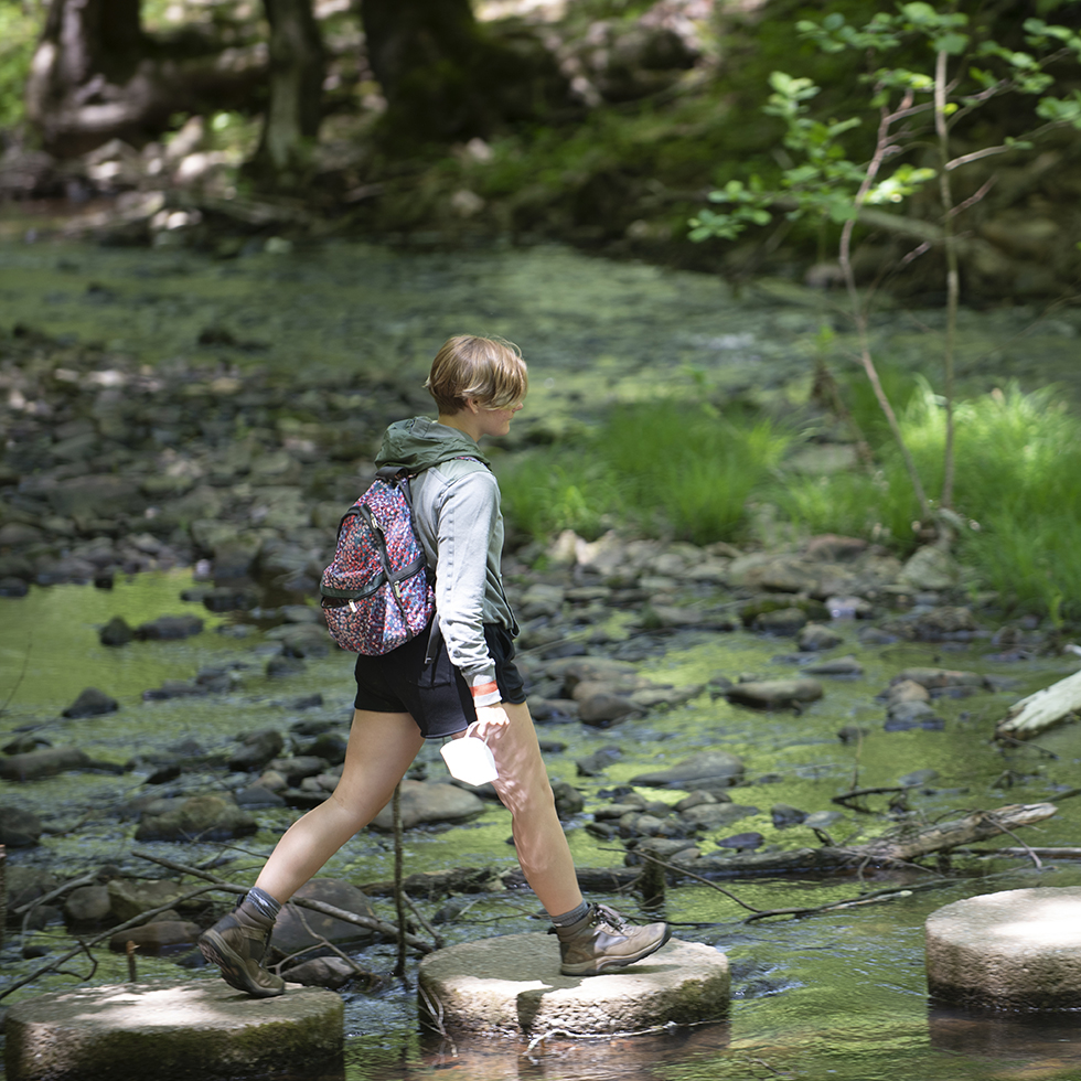 A student walks across stepping stones in a stream