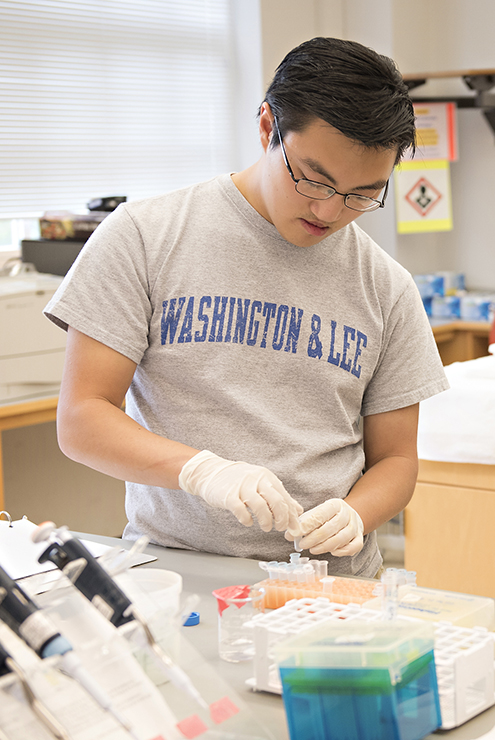 A student in a lab