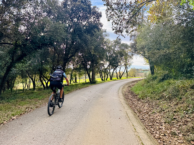 Person biking on a path