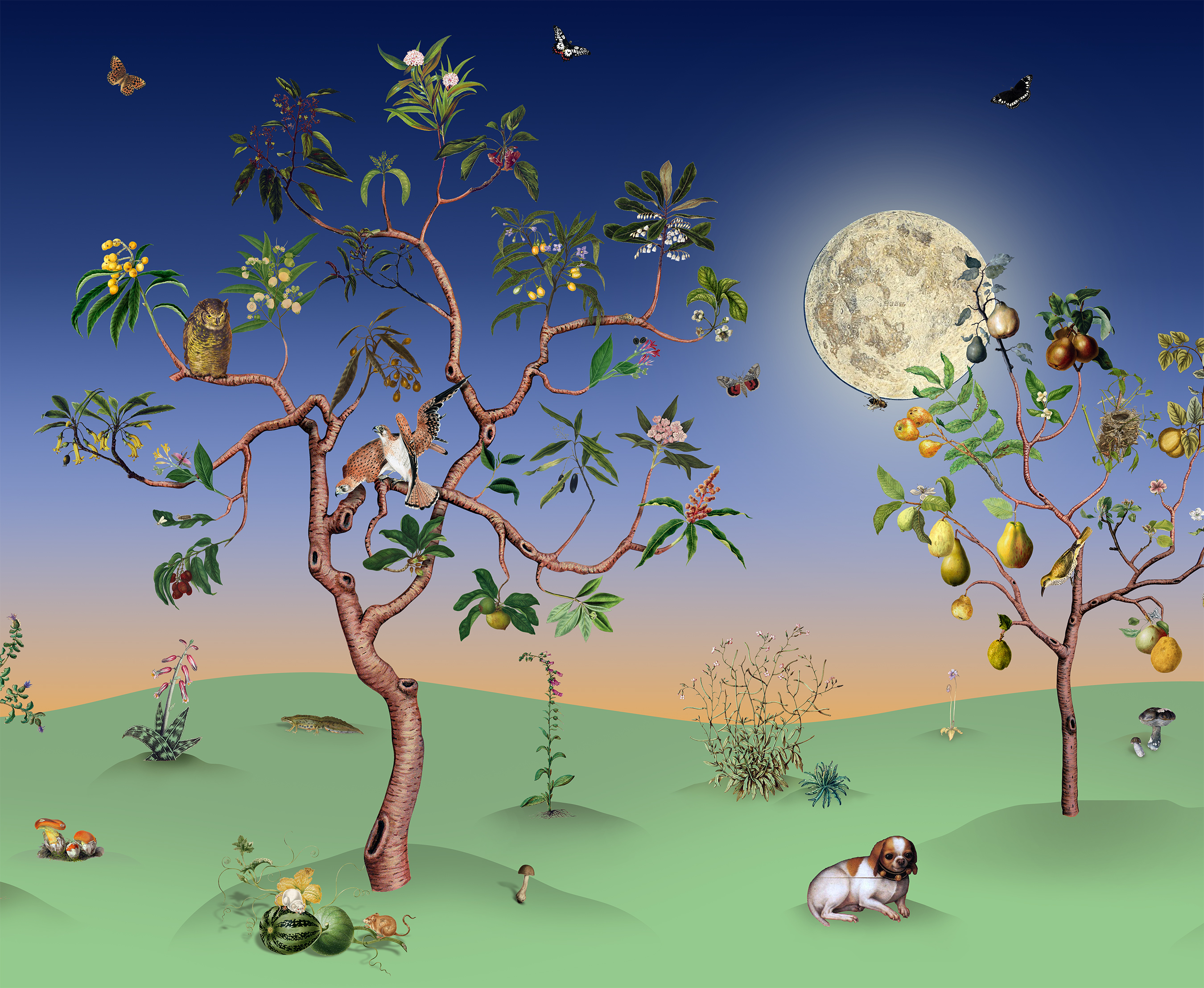 Impossible Garden: Dusk image