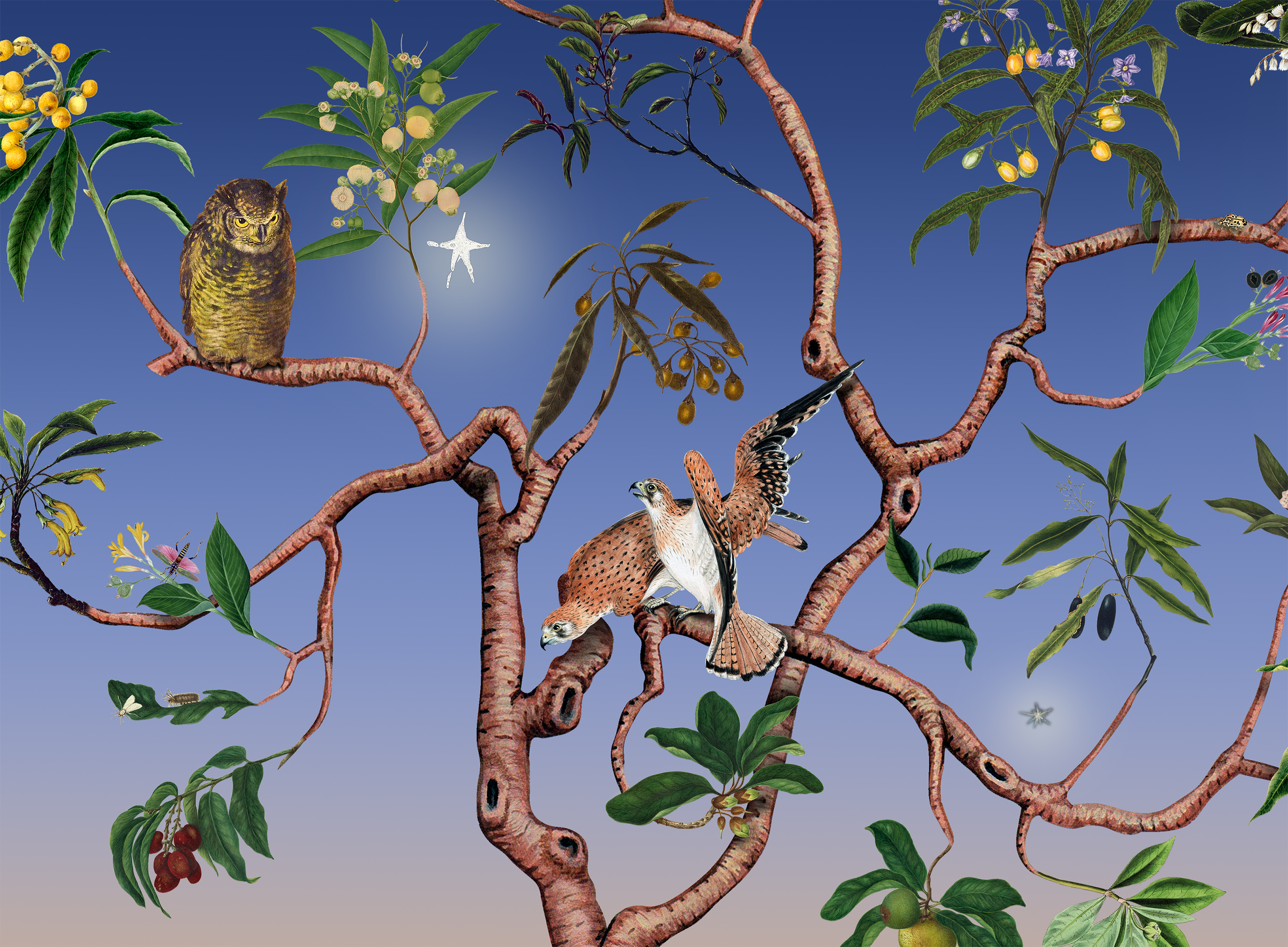 Impossible Garden: Dusk & Dawn image