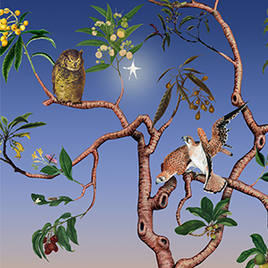 Emma Steinkraus: Impossible Garden/Dusk & Dawn