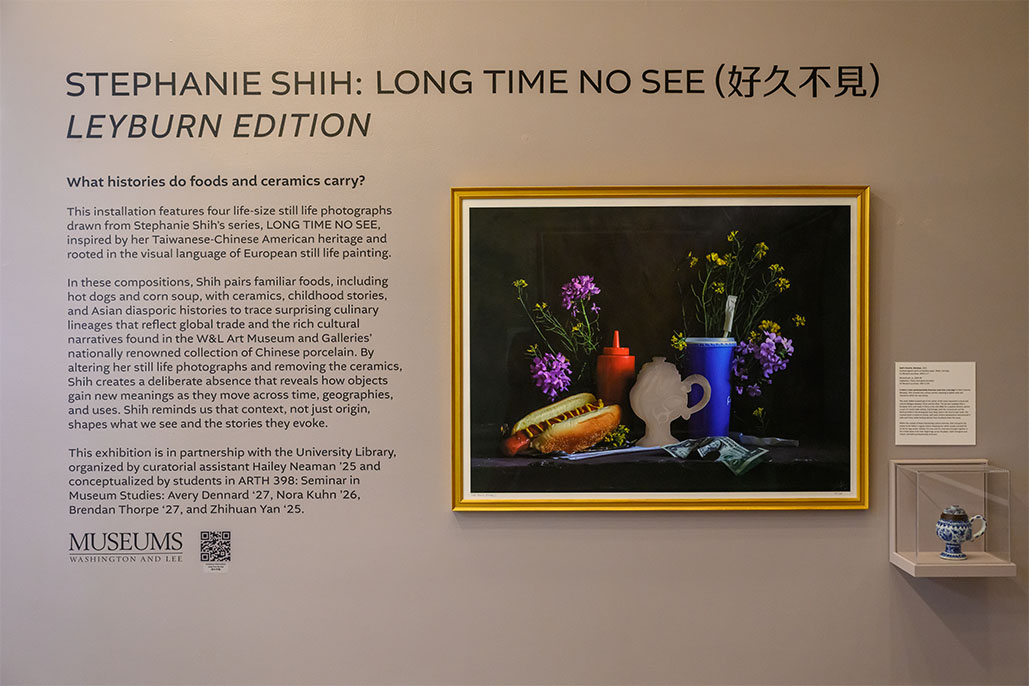 Long Time No See exhibition in Leyburn Library