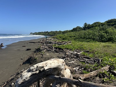 Coast in Costa Rica