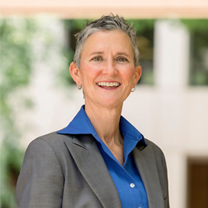 The Roy L. Steinheimer Jr. Professorship in Law