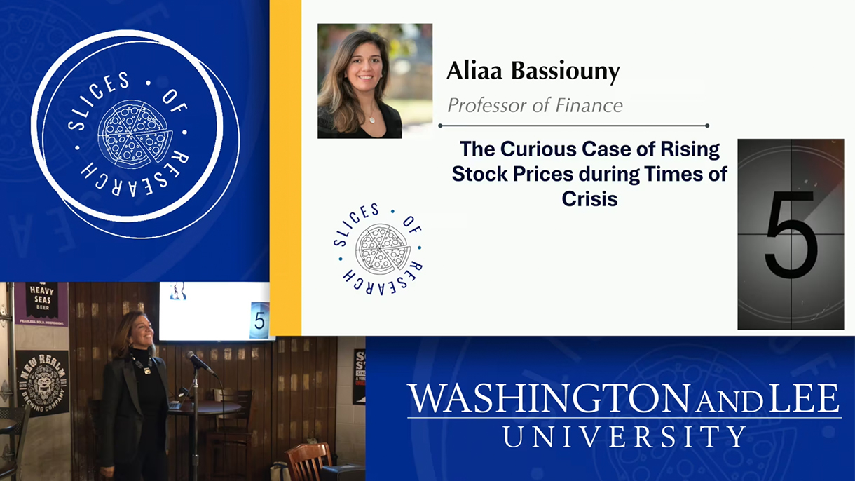Slices of Research - Aliaa Bassiouny presentation