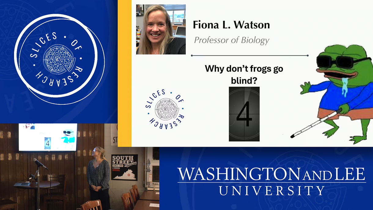 Slices of Research - Fiona Watson presentation