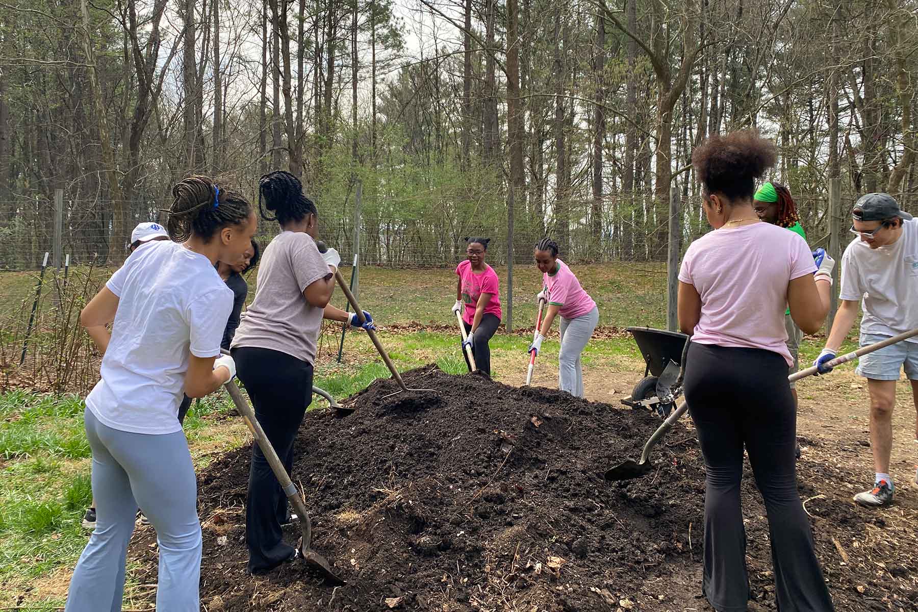 Members of AKA volunteer for Nabors Service Day.