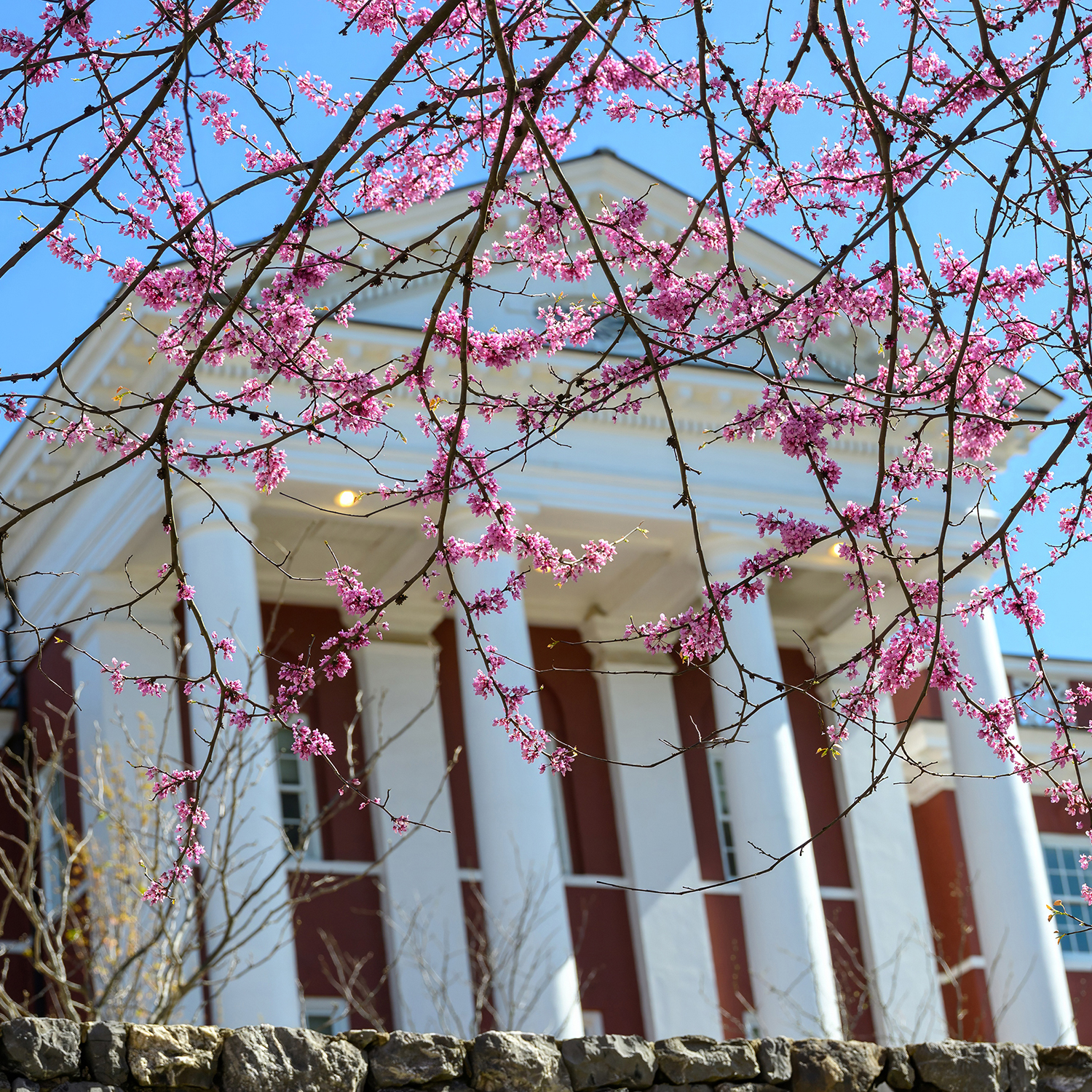 April 16, 2026: Presidential Search Update