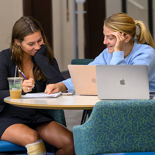 Students studying in the Harte Center
