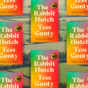 An image of Tess Gunty's The Rabbit Hutch