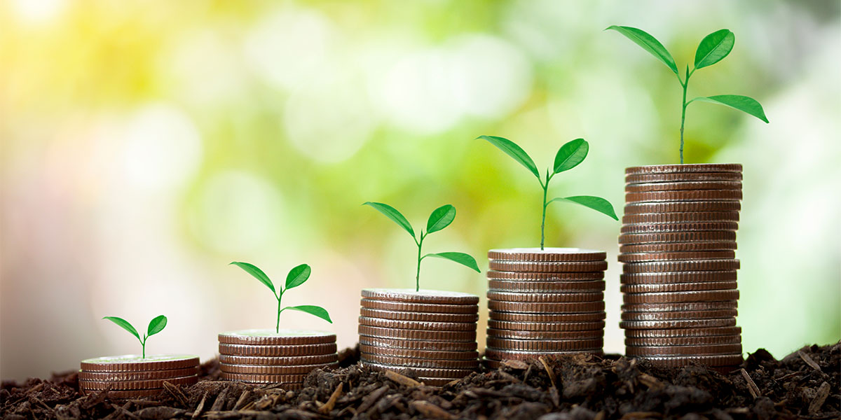 Image of stacks of quarters with small green plants growing out of the tops