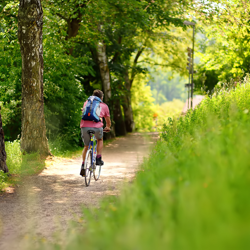 Person biking on path Photo Credit: Maria Sbytova-stock.adobe.com