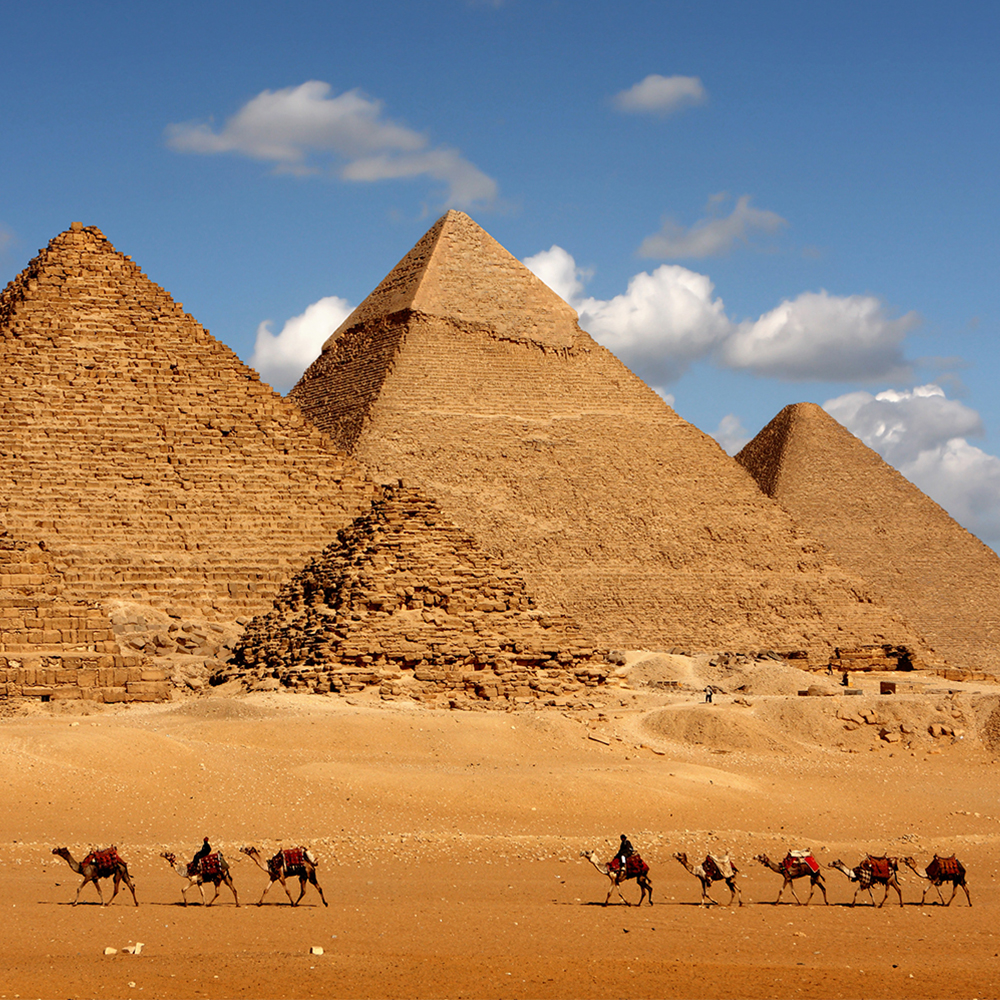 Giza Pyramids with camels