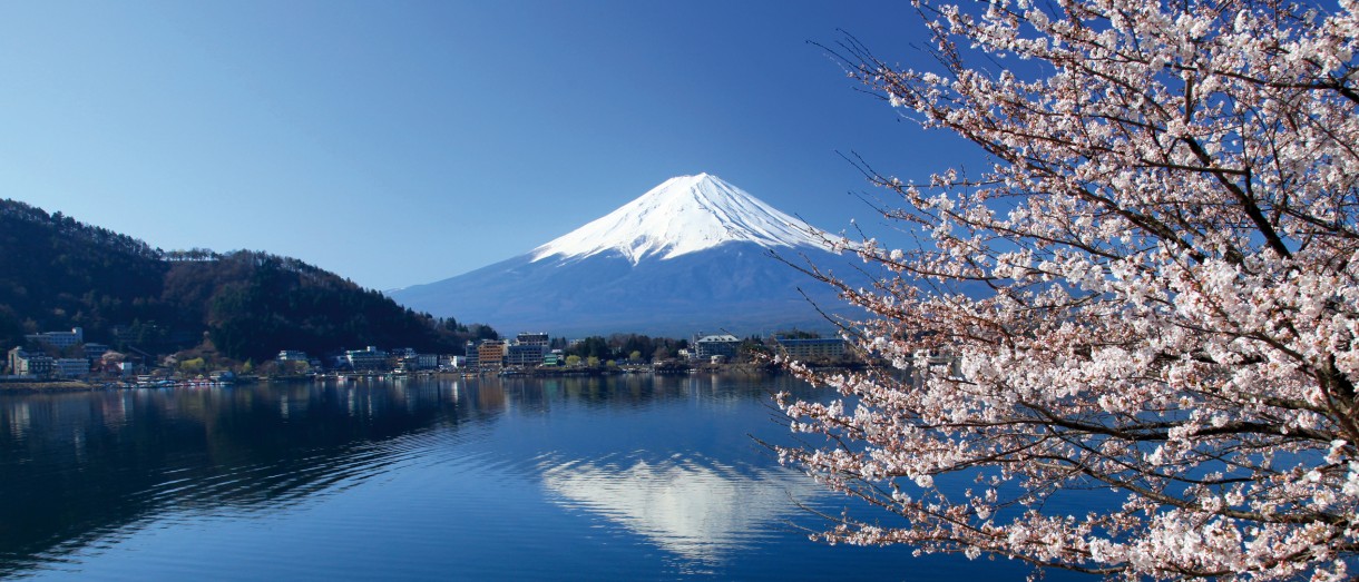 Banner image promoting Japanese Immersion travel program