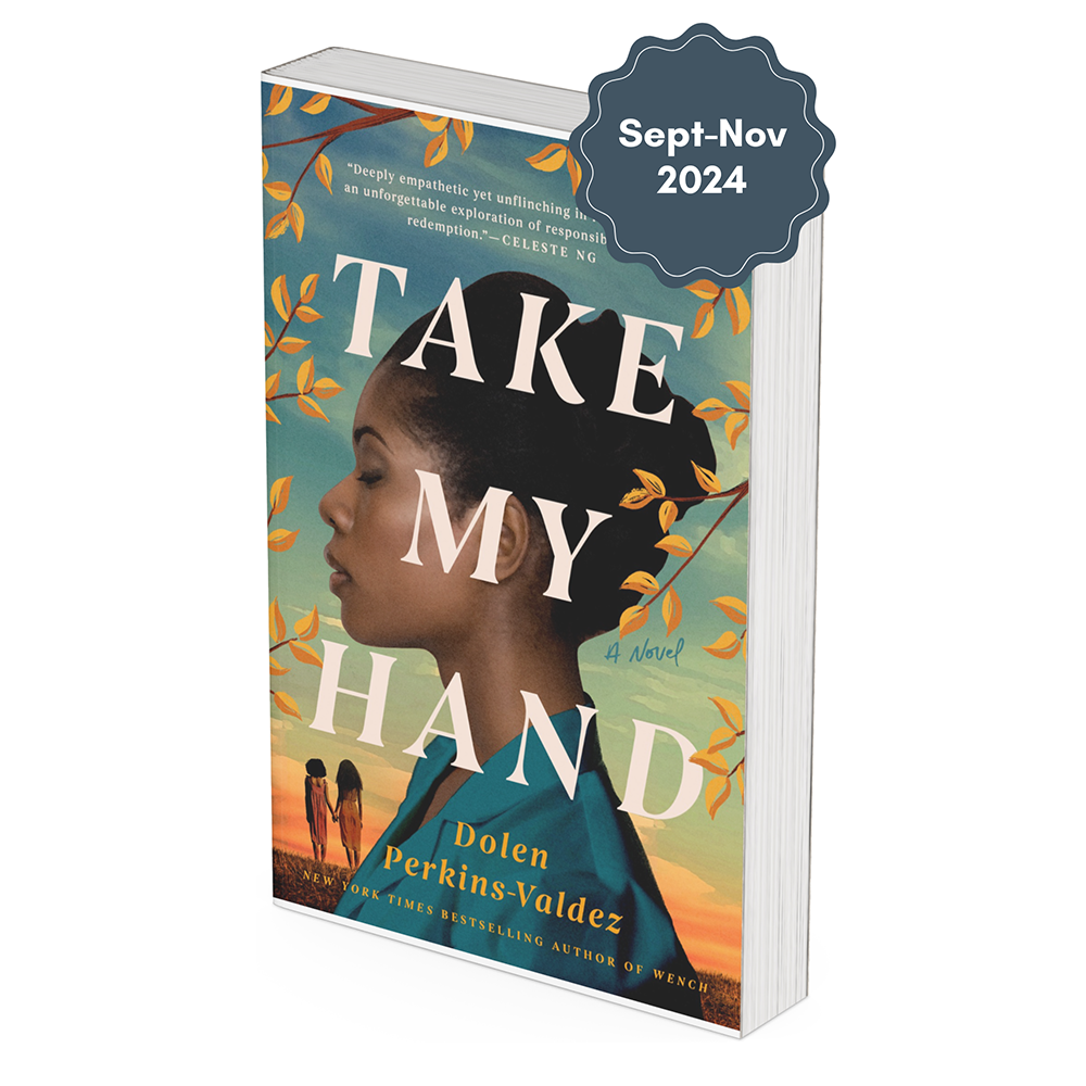 Cover image of Take My Hand by Dolen Perkins-Valdez