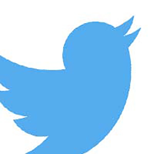 Image of the Twitter logo