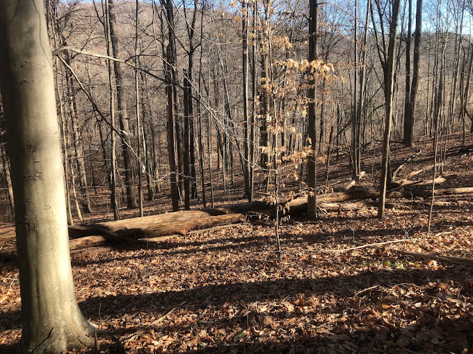 Brushy Hills Nature Preserve