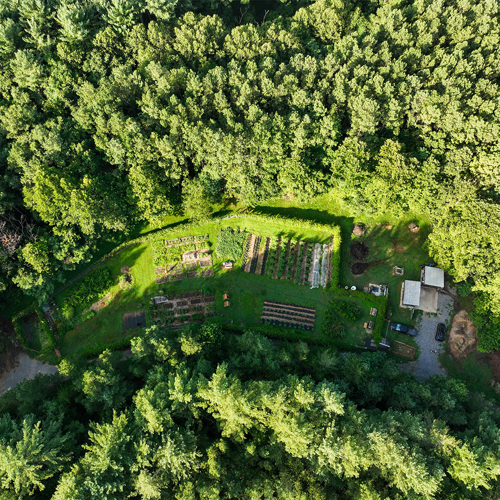 Aerial view of W&L's Campus Garden