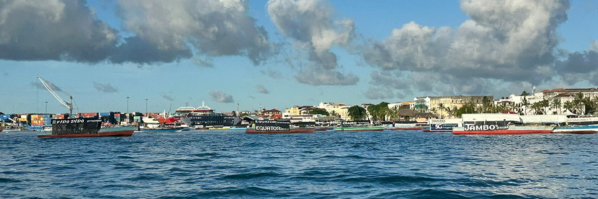 Image of boats in water in Tanzania. 