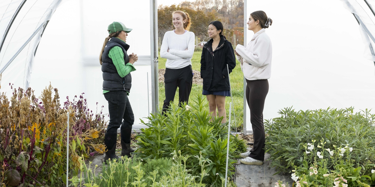 Students in a greenhouse at Yonderyear Farm