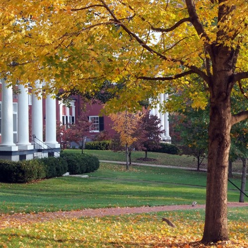 Photo of campus in front of the Colonnade