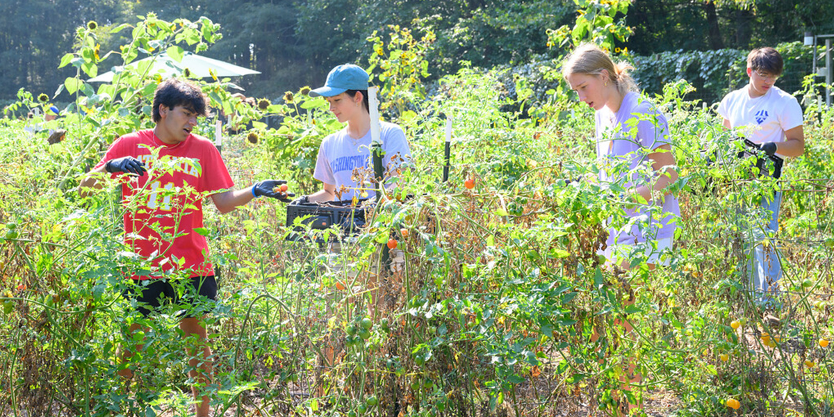 Students in the Campus Garden during the Sustainability Leading Edge program