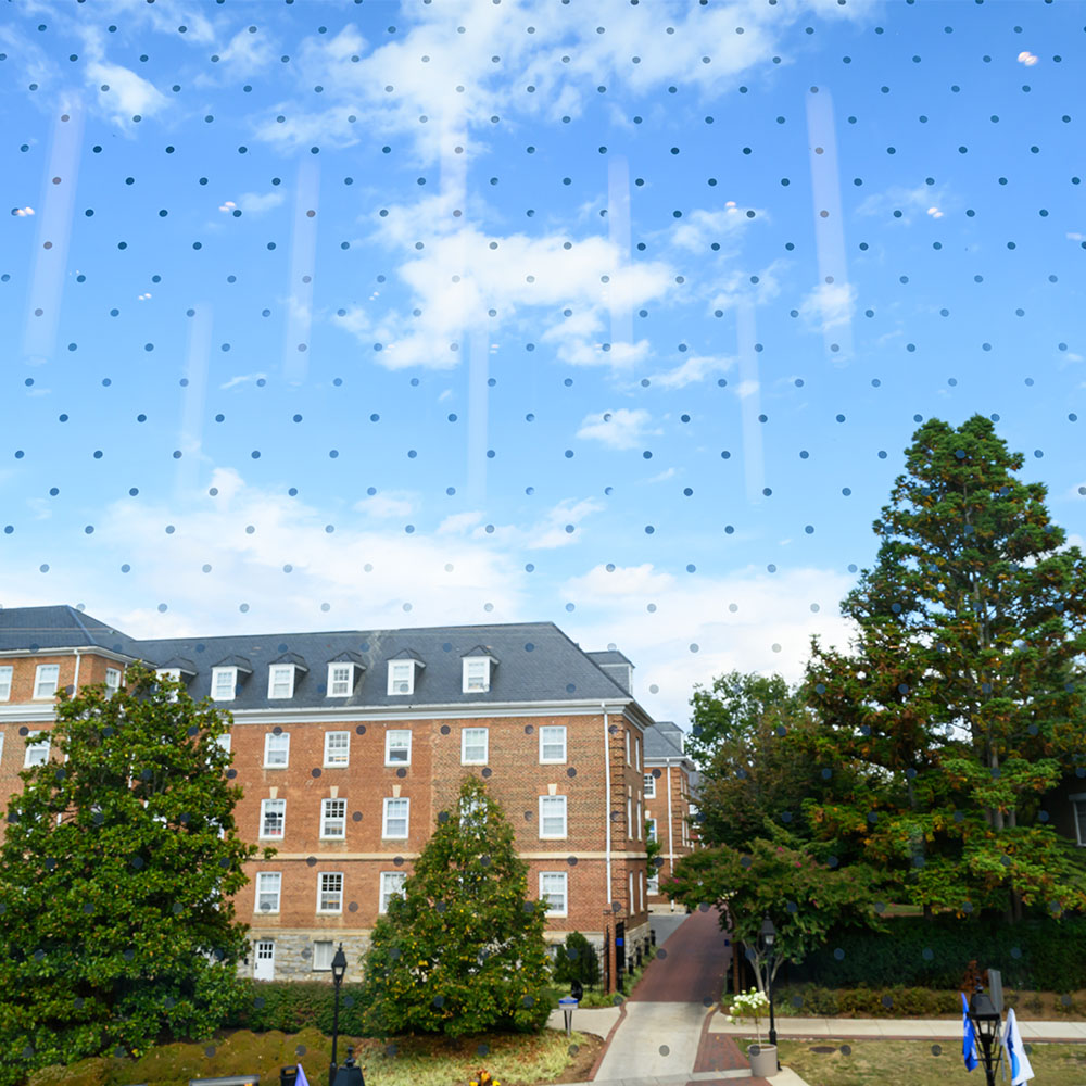 Primary glass on the second floor landing space of the Williams School